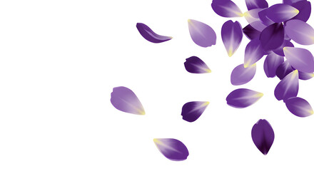 A gentle cascade of soft purple flower petals floating elegantly against a clean white background, perfect for spring or wellness themes