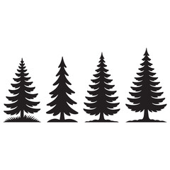 Obraz premium Four silhouetted evergreen trees in a row
