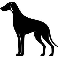 Dog Vector Icon