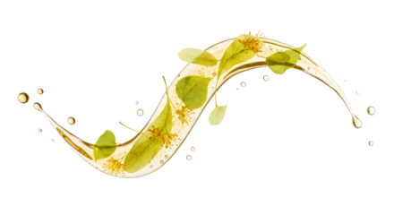 Linden Blossoms and Leaves in Flowing Liquid A Wellness and Natural Concept