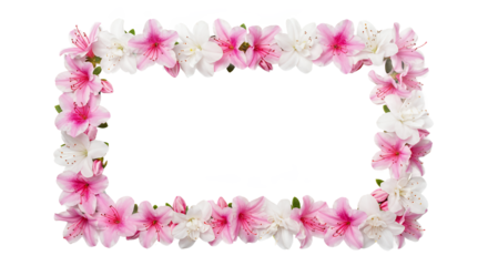 A beautiful rectangular frame made of fresh pink and white azalea flowers, creating a natural border isolated on a white background