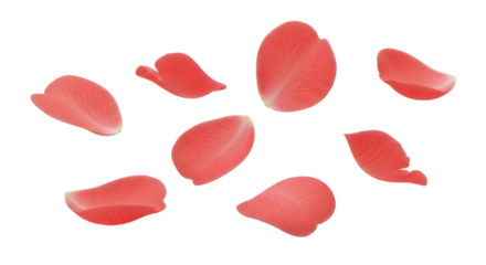 Delicate Pink Rose Petals Scattered on a White Background, Symbolizing Love and Beauty