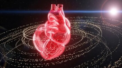 Vibrant heart animation pulsing with life and energy for medical visualizations, health promotions, and cardiology research presentations
