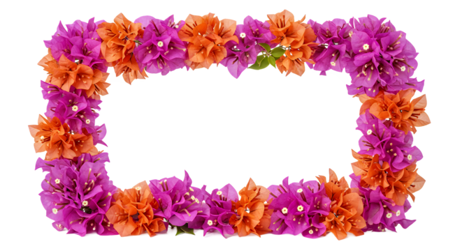 A vibrant rectangular frame made of beautiful pink and orange bougainvillea flowers, isolated on a clean white background with copy space