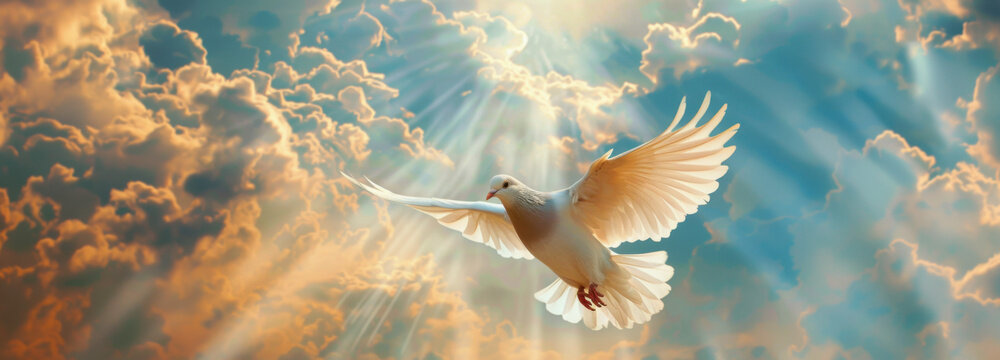 Heavenly Flight of Peace: A pristine white dove soars gracefully through a celestial expanse, bathed in divine sunlight, symbolizing peace and hope.