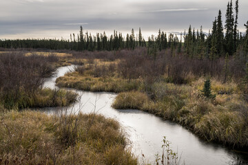 Early Fall Ice on Stream through Northern Moose Meado