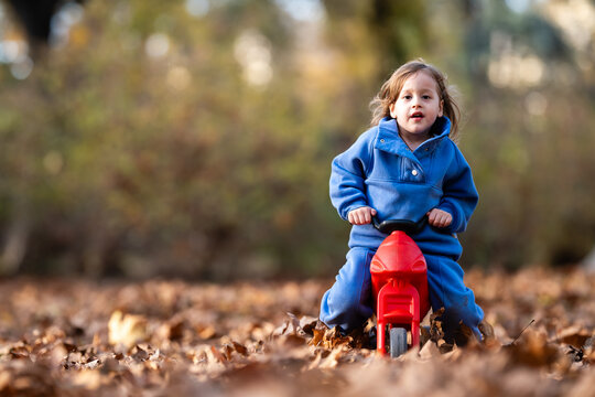Toddler riding toy bike in autumn leaves