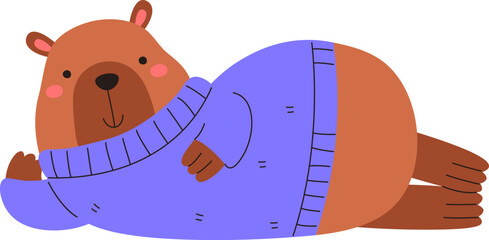 Capybara Lying in Cozy Sweater