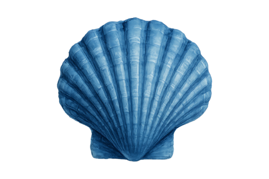Blue Scallop Seashell Isolated on a Transparent Background
