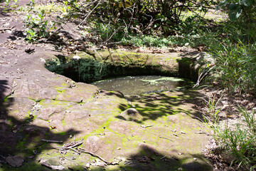 Large natural rock pool filled with water, formed on sandstone in a forest. 