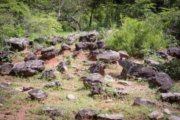 Natural forest clearing with scattered rocks of various sizes on grassy terrain. 