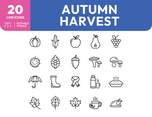 Autumn Harvest Line Icons Pumpkin Corn Apple Pear Grapes and More