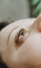 Naklejka premium Open eye of a woman with eyelash extensions.