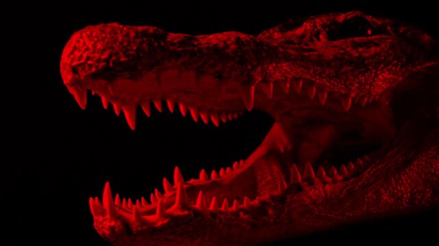 Crocodile Head In Red Light Scary Reptile