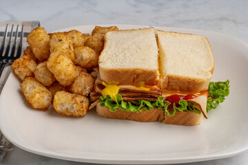 turkey  sandwich  with tater tots,