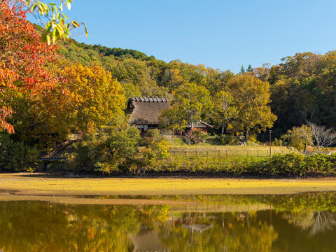 秋の風景　水辺に建つ茅葺き屋根の古民家