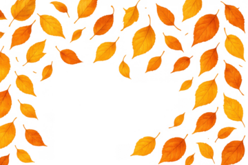 Autumn season falling leaves creating a decorative transparent background frame for harvest thanksgiving designs