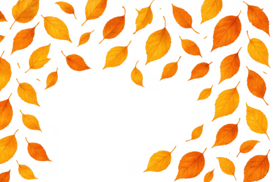 Autumn season falling leaves creating a decorative transparent background frame for harvest thanksgiving designs