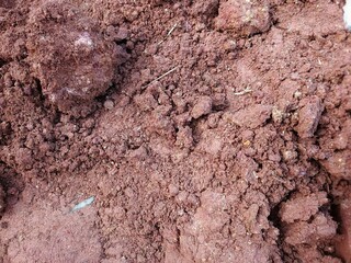 soil texture background