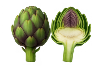 Artichoke illustration showing freshness and healthy eating, with a full vegetable and a detailed cross-section