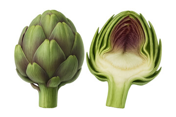 Artichoke whole and halved showing raw vegetable with detailed cross section and fresh green leaves on transparent background