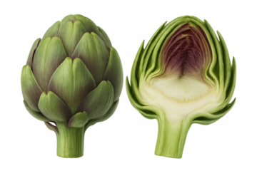 Artichoke whole and halved showing raw vegetable with detailed cross section and fresh green leaves on transparent background