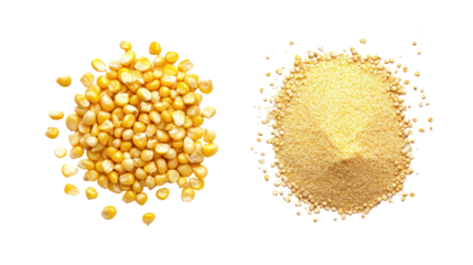 Corn kernels and corn powder overhead side by side on white background