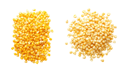 Corn kernels and corn powder overhead side by side on white background