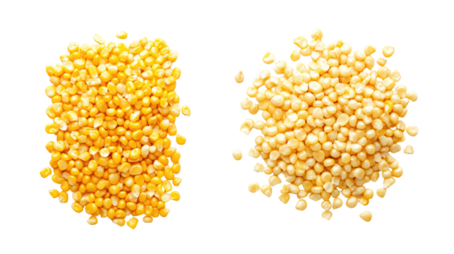 Corn kernels and corn powder overhead side by side on white background