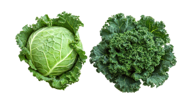 Fresh cabbage and kale with green leaves overhead two sets side by side on transparent background
