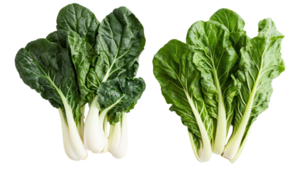 Fresh chard and mustard greens overhead two sets side by side on transparent background