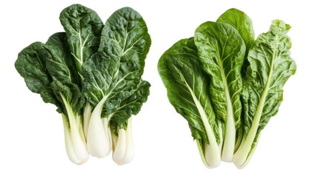 Fresh chard and mustard greens overhead two sets side by side on transparent background