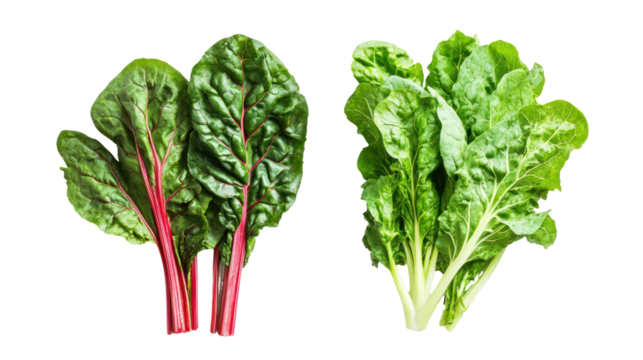 Fresh chard and mustard greens overhead two sets side by side on white background