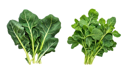 Fresh fenugreek leaves and kale overhead two sets side by side on transparent background