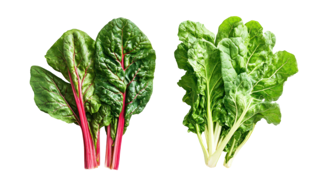 Fresh chard and mustard greens overhead two sets side by side on white background