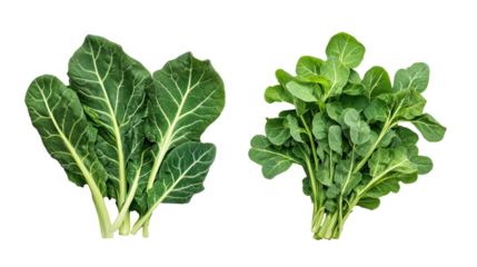 Fresh fenugreek leaves and kale overhead two sets side by side on transparent background