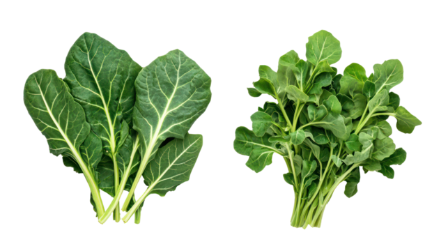 Fresh fenugreek leaves and kale overhead two sets side by side on transparent background