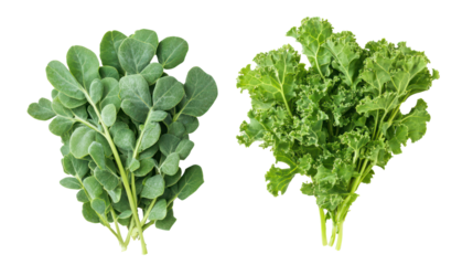 Fresh fenugreek leaves and kale overhead two sets side by side on transparent background