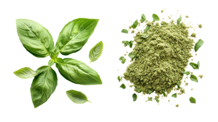 Fresh basil leaves and dried basil flakes isolated on transparent background