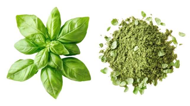 Fresh basil leaves and dried basil flakes isolated on transparent background - Powered by Adobe
