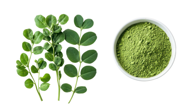 Fresh moringa leaves and powder isolated on transparent background - Powered by Adobe