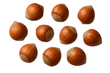 Hazelnuts falling, raw fresh filbert nuts isolated on transparent background, rich in healthy fats, protein, and dietary fiber