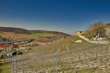 Malerische Weinberge an Saale und Unstrut, Historisches Weinanbaugebiet Mitteldeutschland, Naumburg, Freyburg, Kulturlandschaft, Burgenlandkreis, Sachsen Anhalt, Deutschland