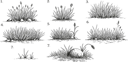 Collection of hand-drawn diverse grass clumps with small rocks, showcasing various forms of botanical ground cover in detailed ink sketches, perfect for naturalistic design elements