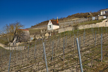 Naklejka premium Malerische Weinberge an Saale und Unstrut, Historisches Weinanbaugebiet Mitteldeutschland, Naumburg, Freyburg, Kulturlandschaft, Burgenlandkreis, Sachsen Anhalt, Deutschland