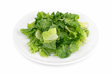 Fresh Romaine Lettuce Caesar Salad Mix on White Plate – Chopped Crunchy Lettuce Isolated on White