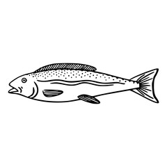 simple line art drawing of a spotted river fish