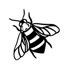 minimalist bumblebee outline icon