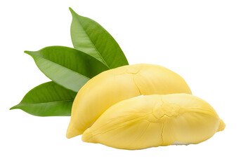 Fresh, ripe, yellow durian fruit with a green leaf isolated on a white background