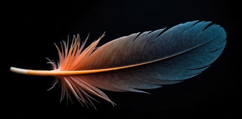 Textured Flight Study Close up view of a single, intricate feather showcasing its delicate structure and complex textures. An extreme macro close up of a single, intricately detailed feather,